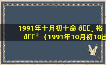 1991年十月初十命 🌸 格 🌲 （1991年10月初10出生是什么命）